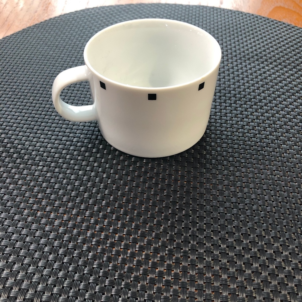 Sasaki Metropolis Black Cup/Fine China